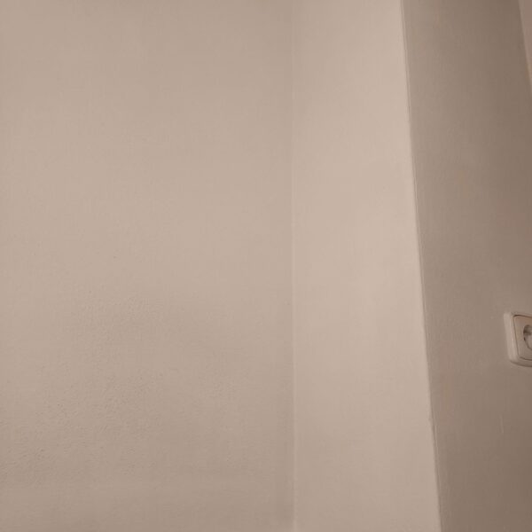 Malovaní - bytu ( fasady )